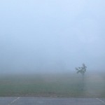 dense fog