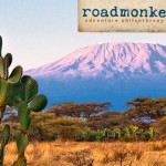 roadmonkey