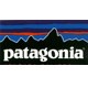 Featured image for Patagonia